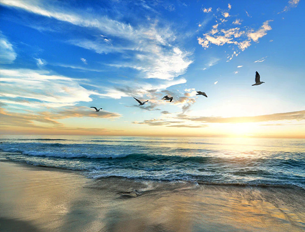 �ò�(�й�)�������ܿƼ��ɷ����޹�˾��վ